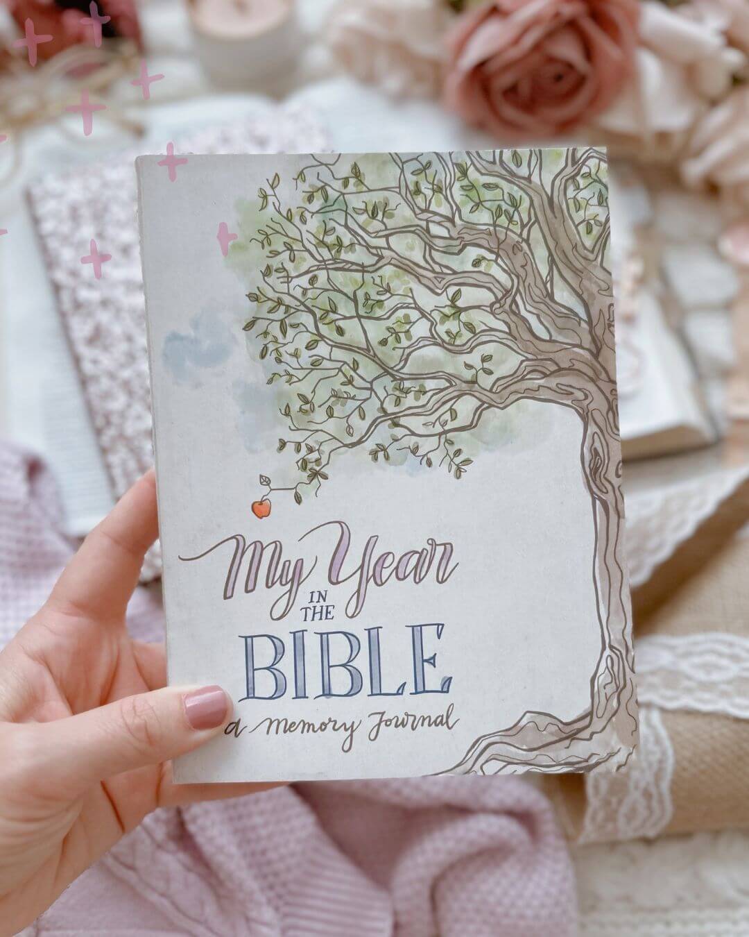 Year in the Bible Plan