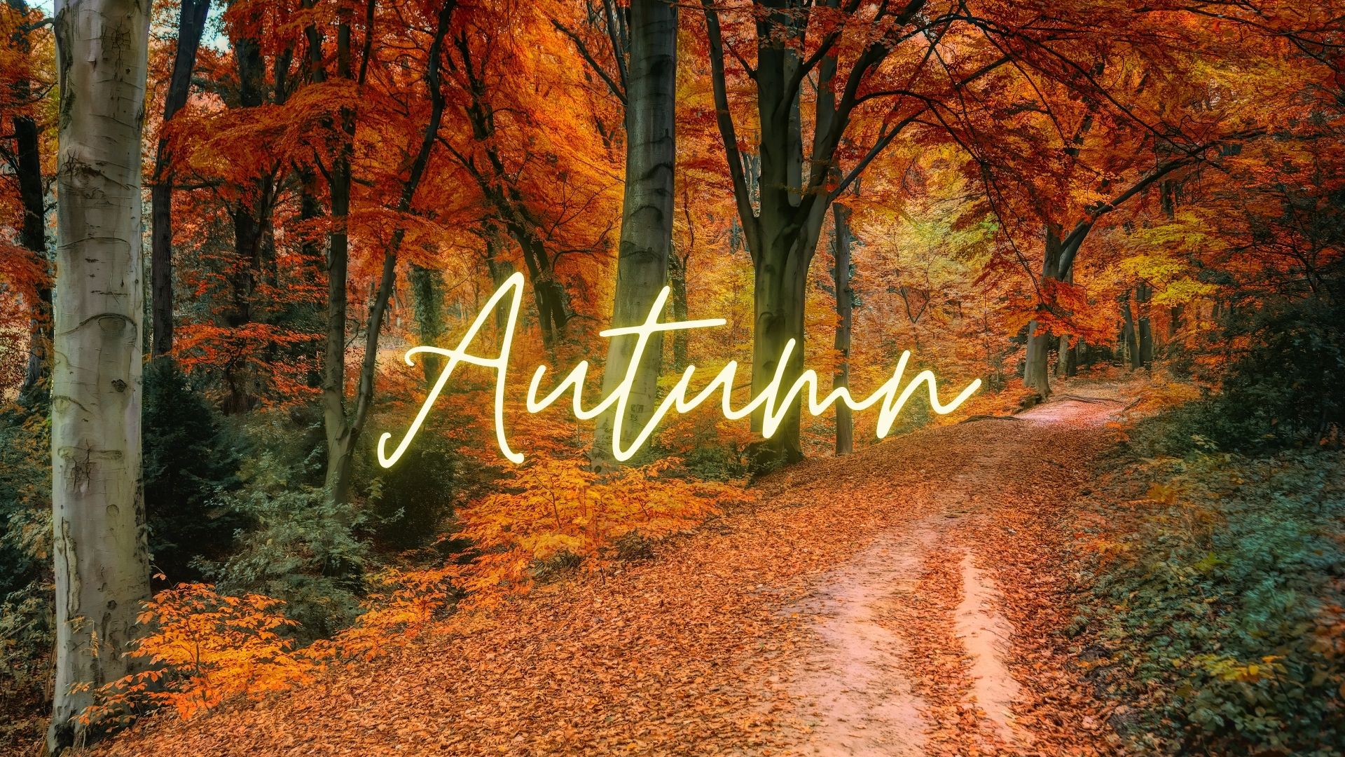 633-themes-17573605508537.jpg