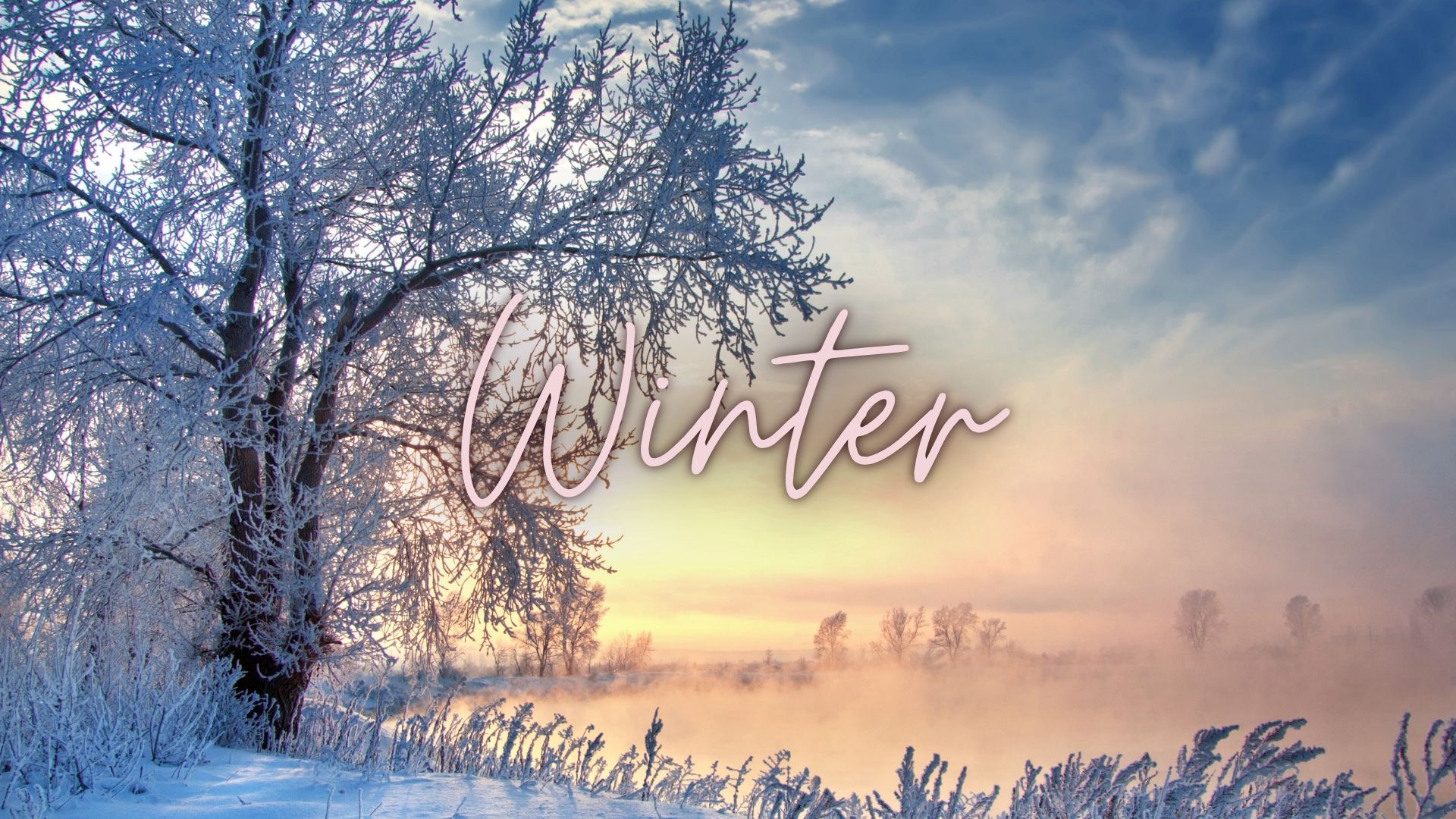633-themes-17598717663702.jpg