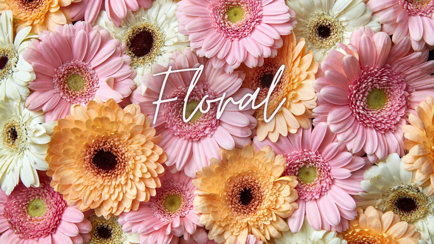 633-themes-3-17466432711295.png