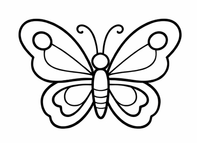 1481-butterfly-17688509452381.jpg