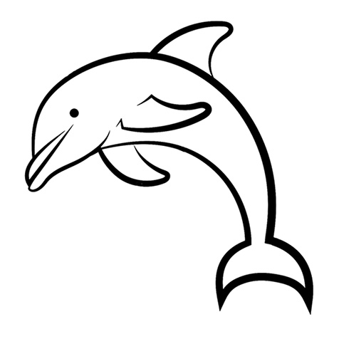 1481-dolphin-17688518690903.jpg