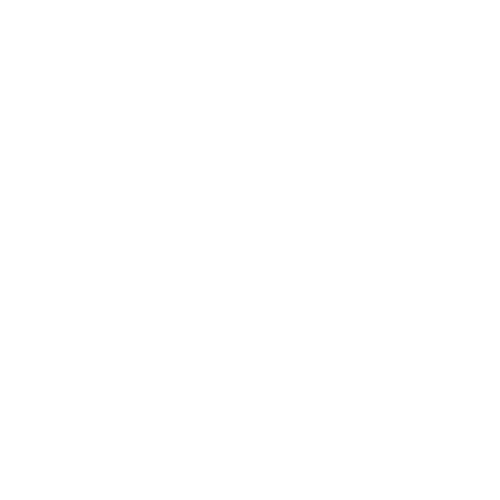 80-4-17510034149287.png