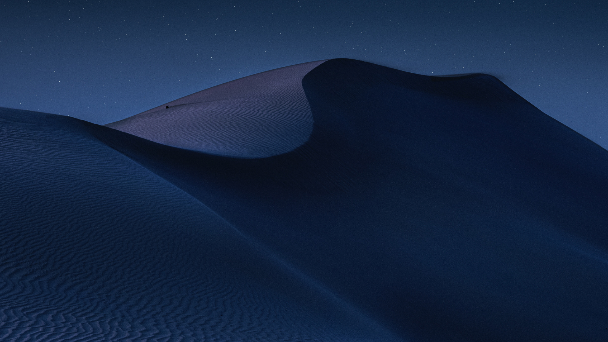 r38-new-youtube-banner-1-17557952914603.png