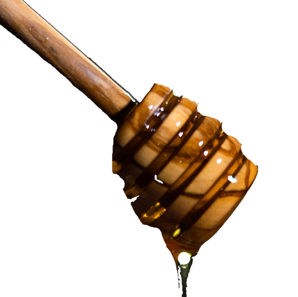 2213-honey.png