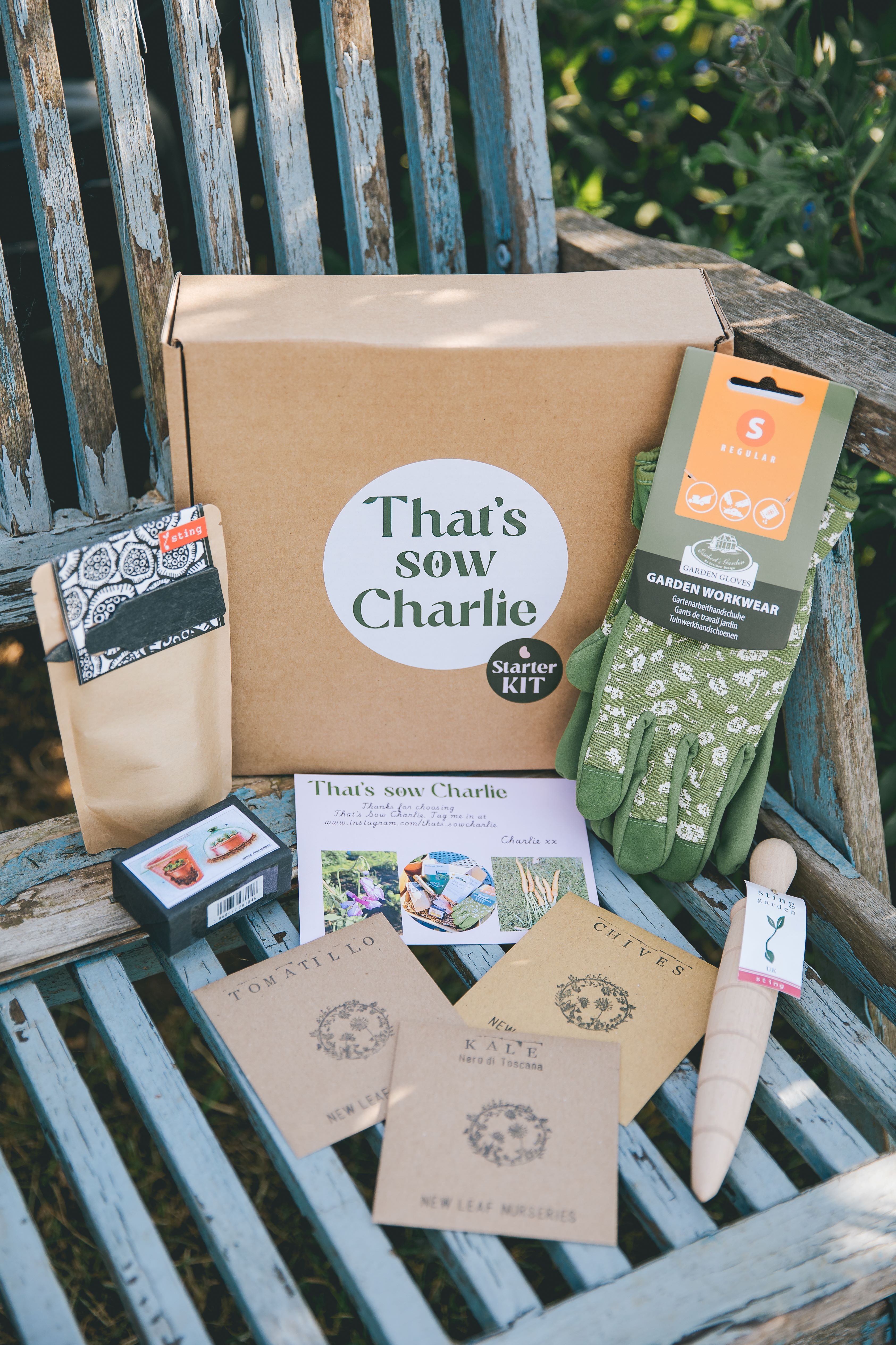 735-charlie-branding-11-17525111755042.jpg