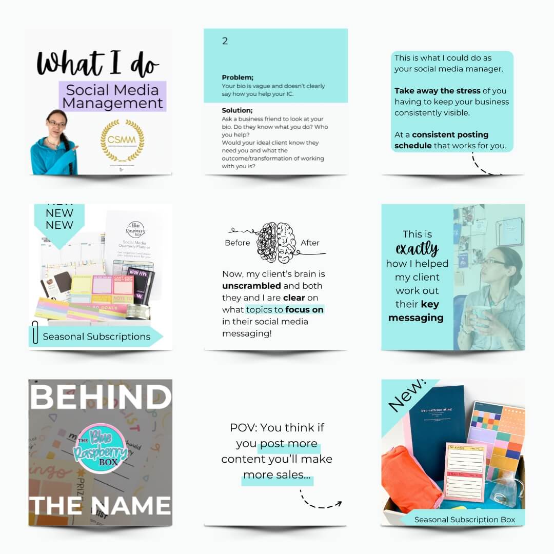 9 canva graphics in a grid layout for Blue Raspberry box