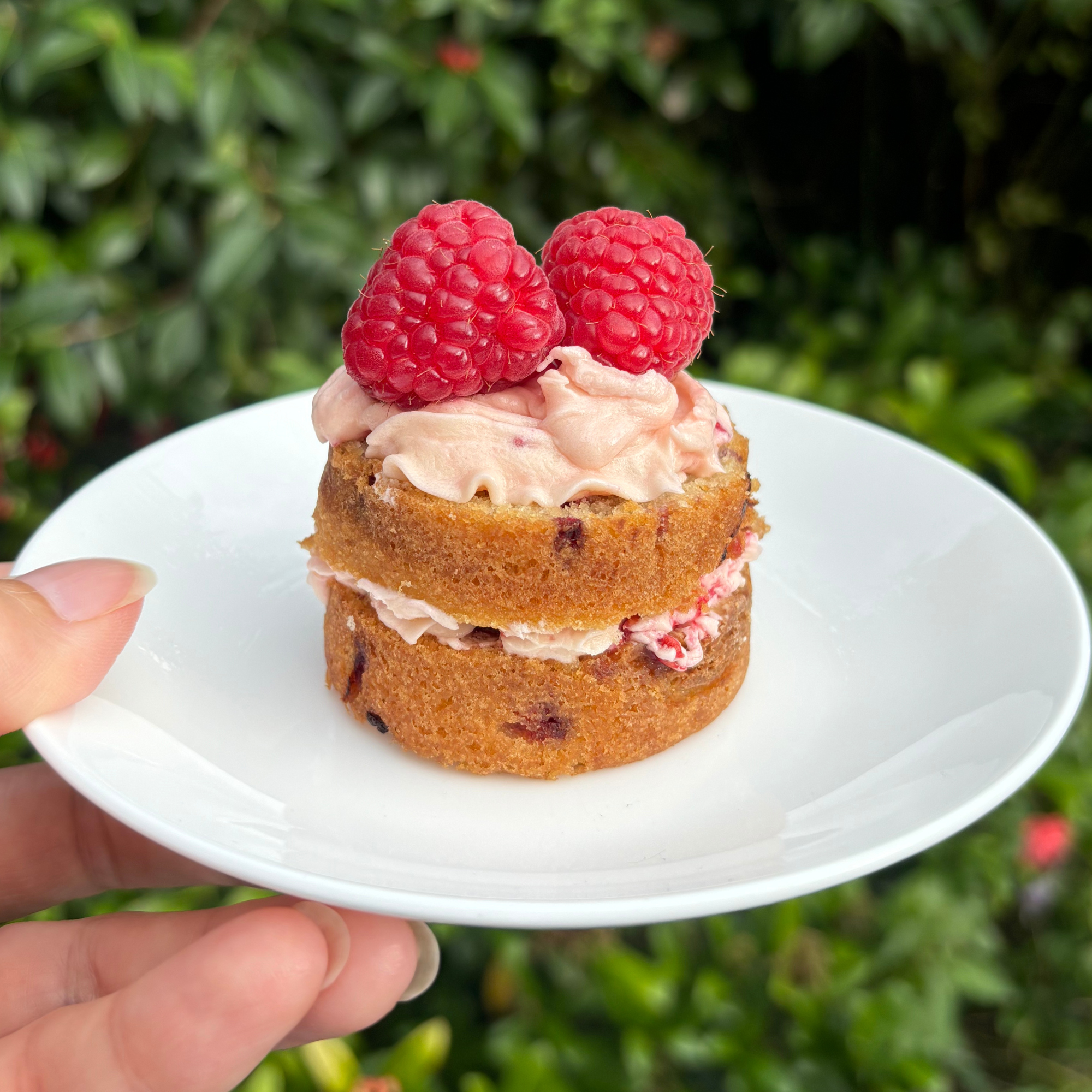 963-mini-cakes-17516568463139.png