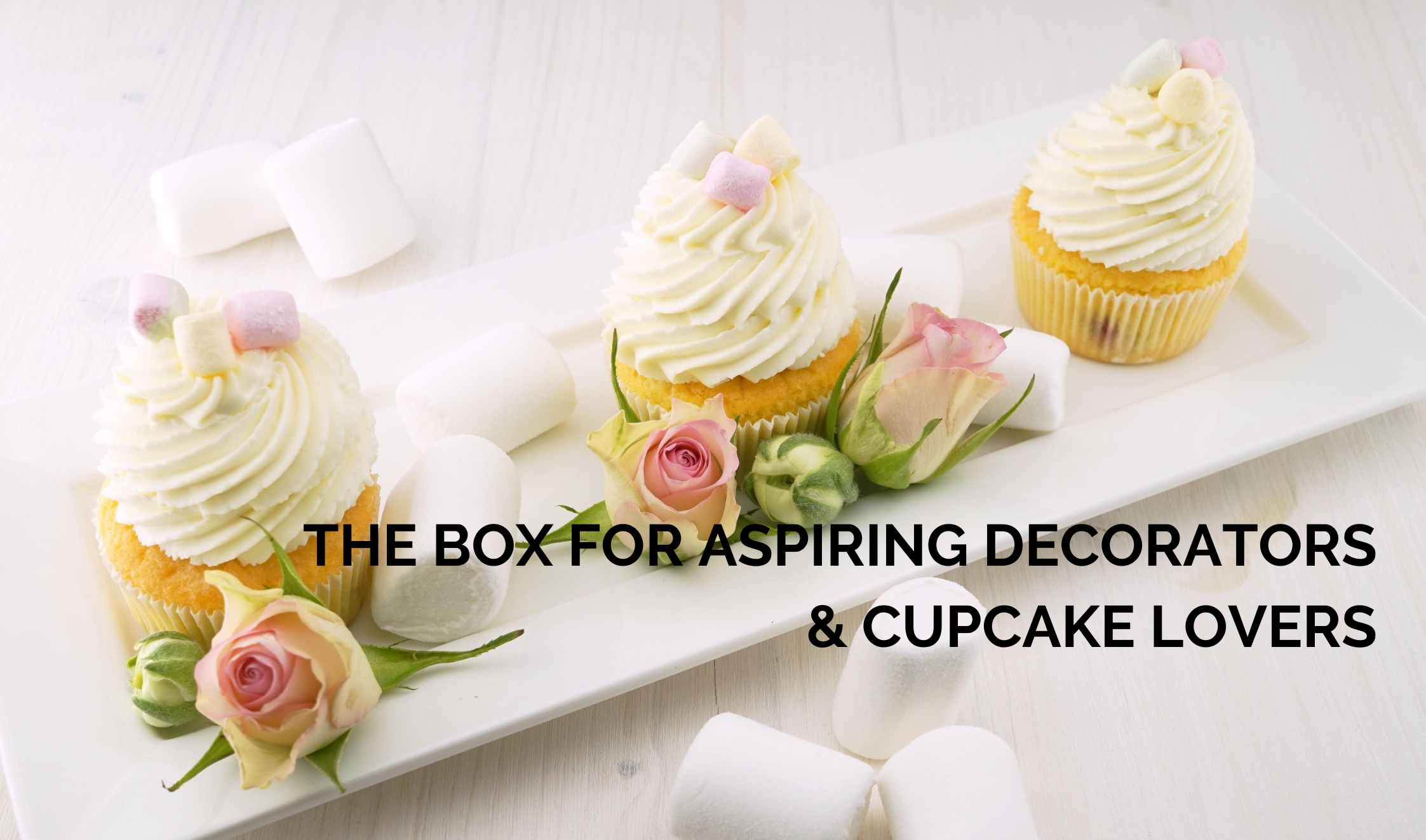 72-the-box-for-aspiring-decorators-cupcake-lovers.png