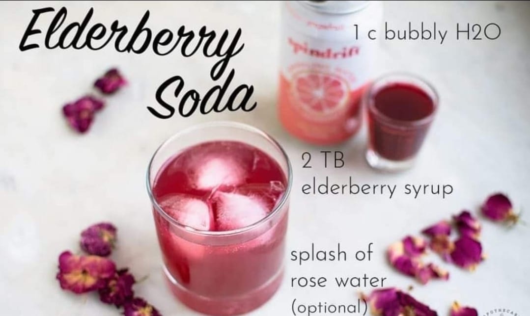 452-elderberry-soda-17047638526828.jpg