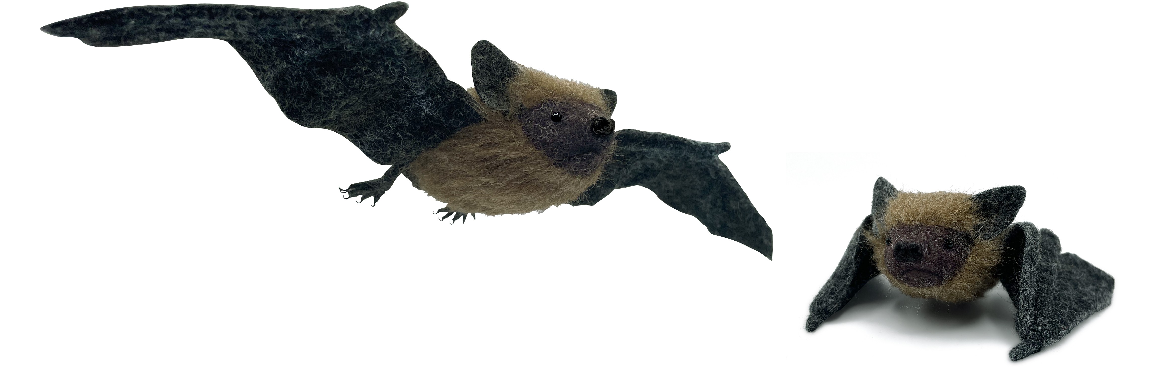 004615146971-bat-web-17555890698379.jpg