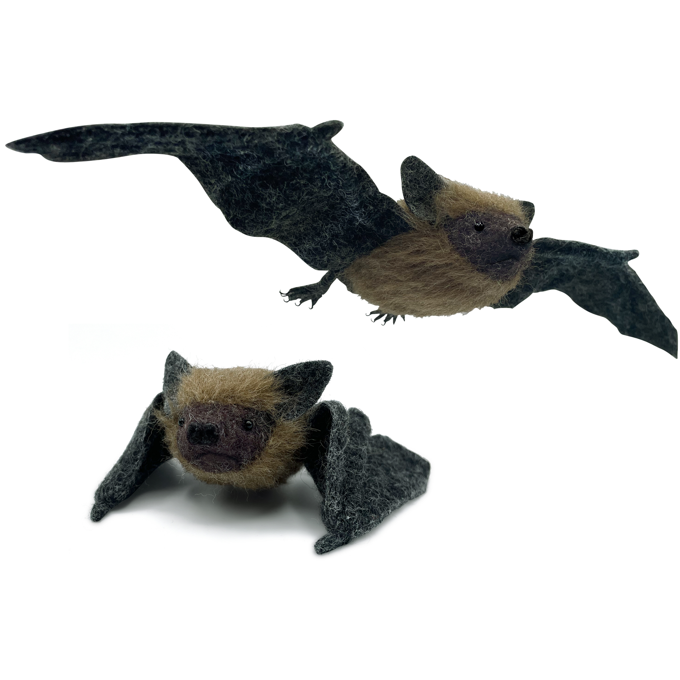 'PIPISTRELLE BAT' (SEPT/OCT 2025) 134-bat-web-square-17555902221336.jpg