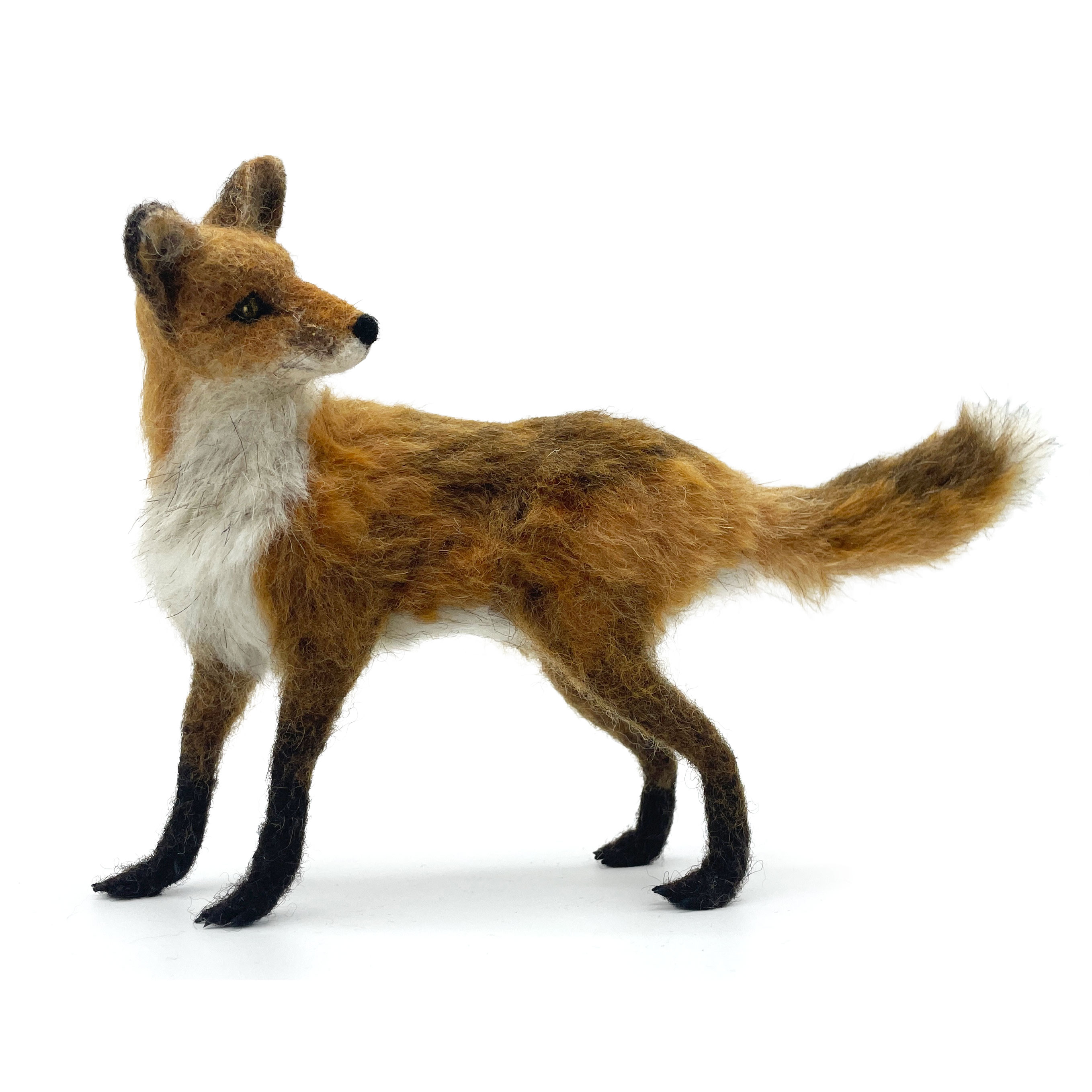 134-fox-17908164994067.jpg