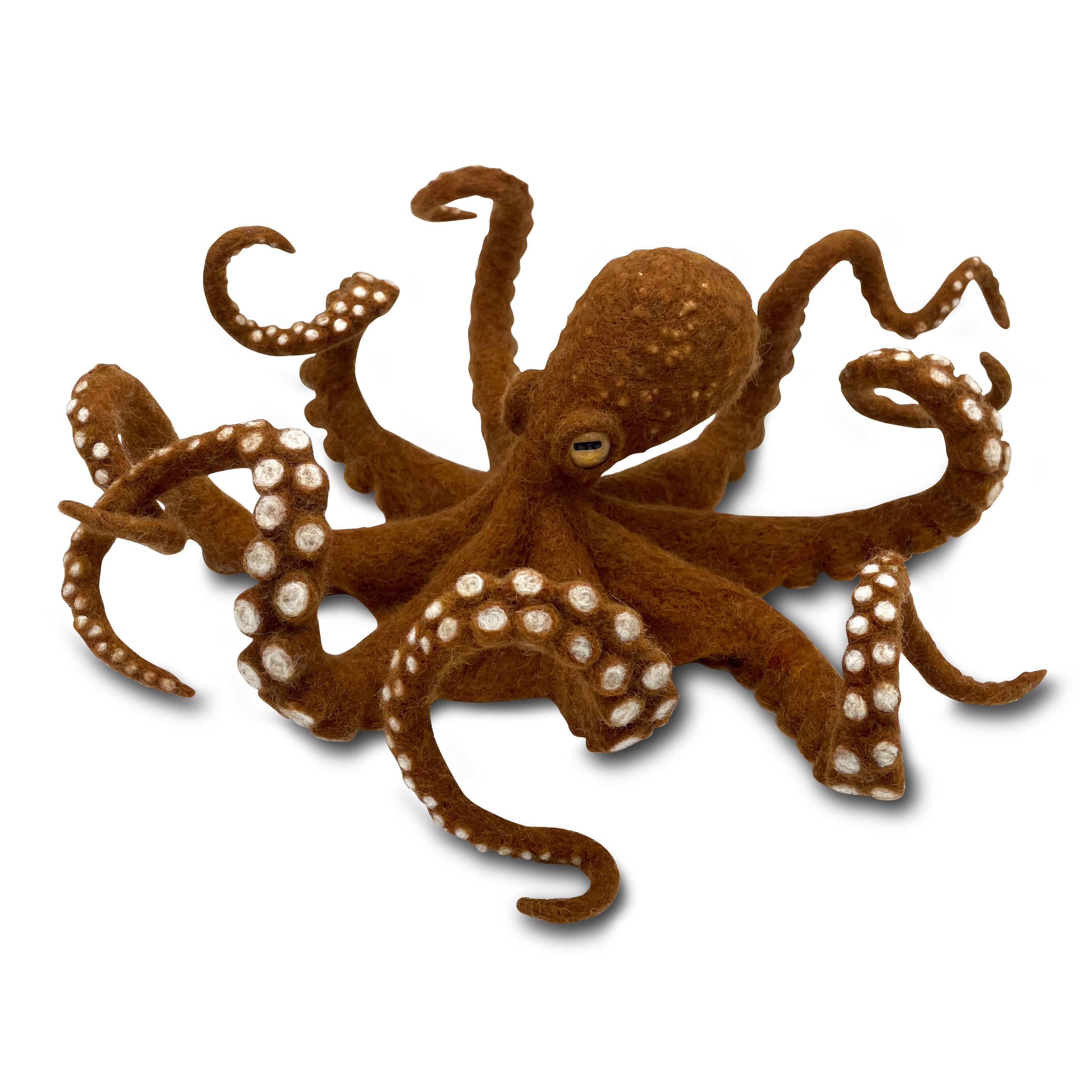 'OCTOPUS' (JUL/AUG 2025) 134-octopus-17531052143586.jpg