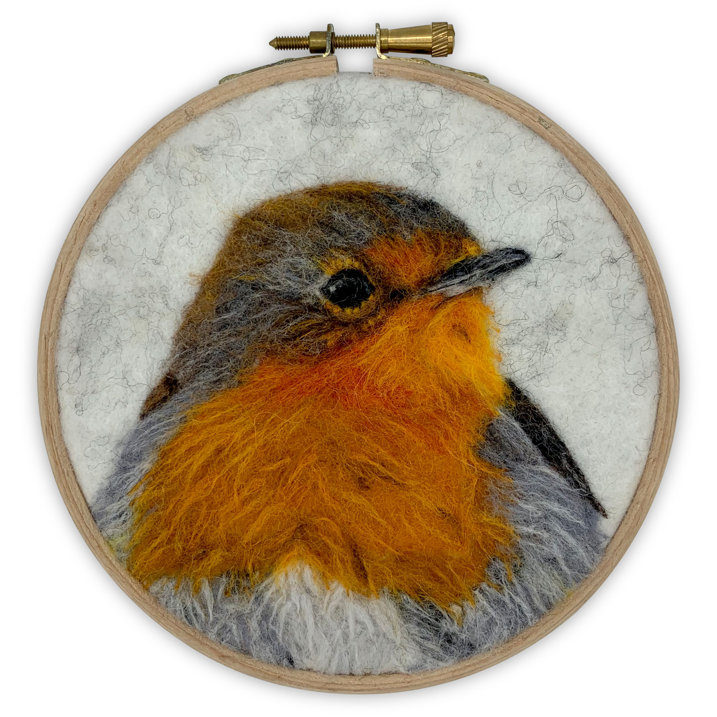 134-robin-web-16985168063582.jpg