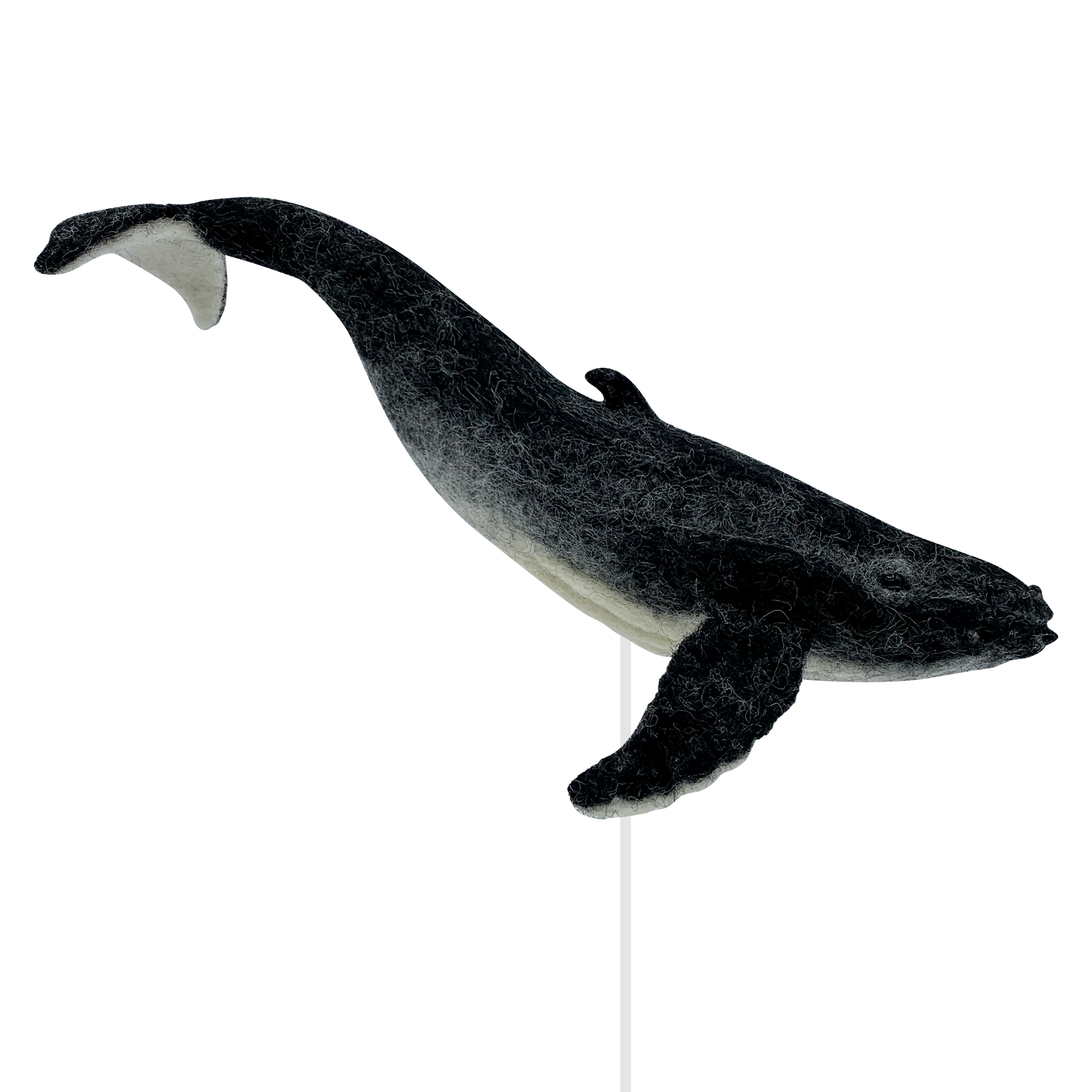 134-whale---square-16890281708794.jpg