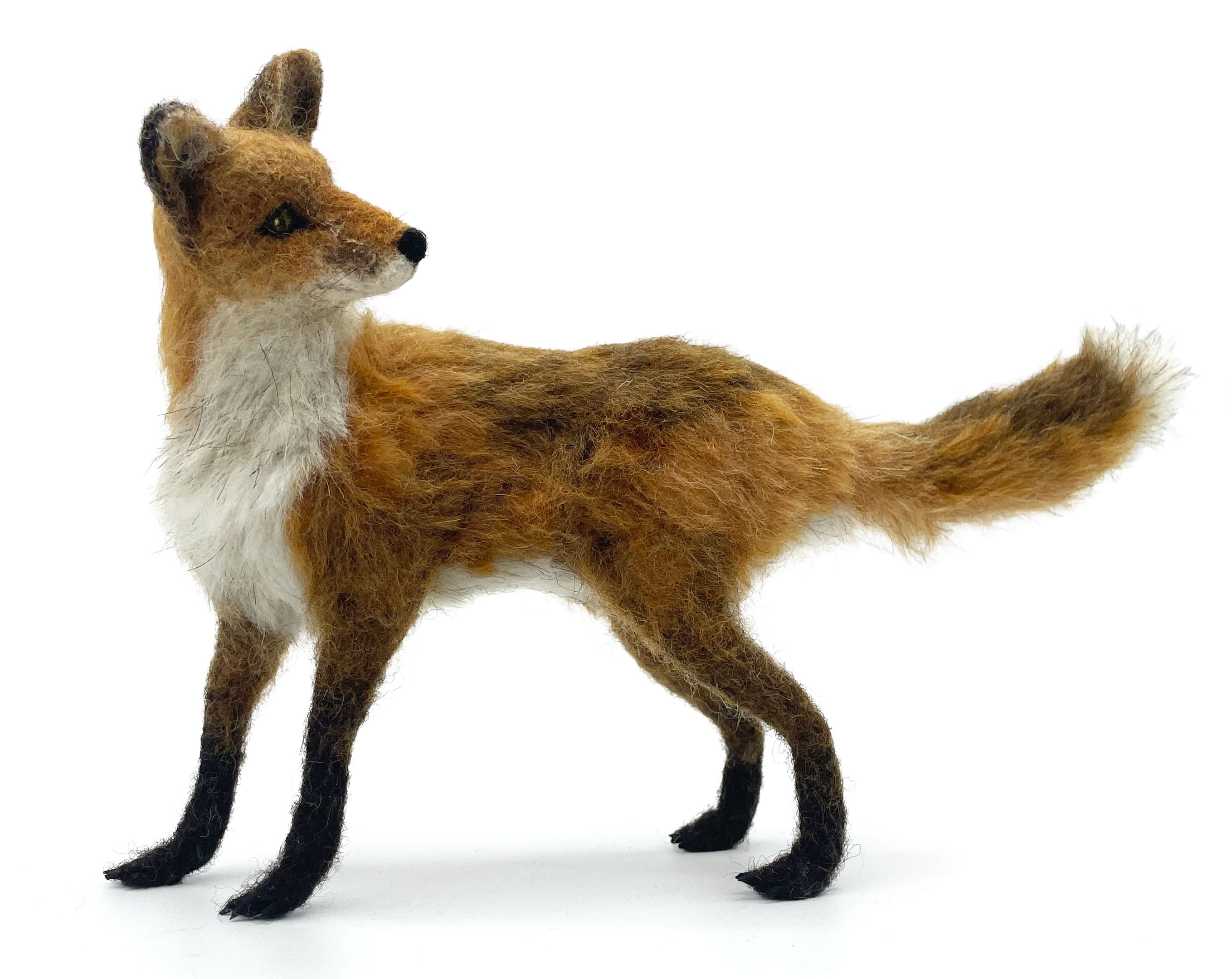162-fox-web-17897712372426.jpg