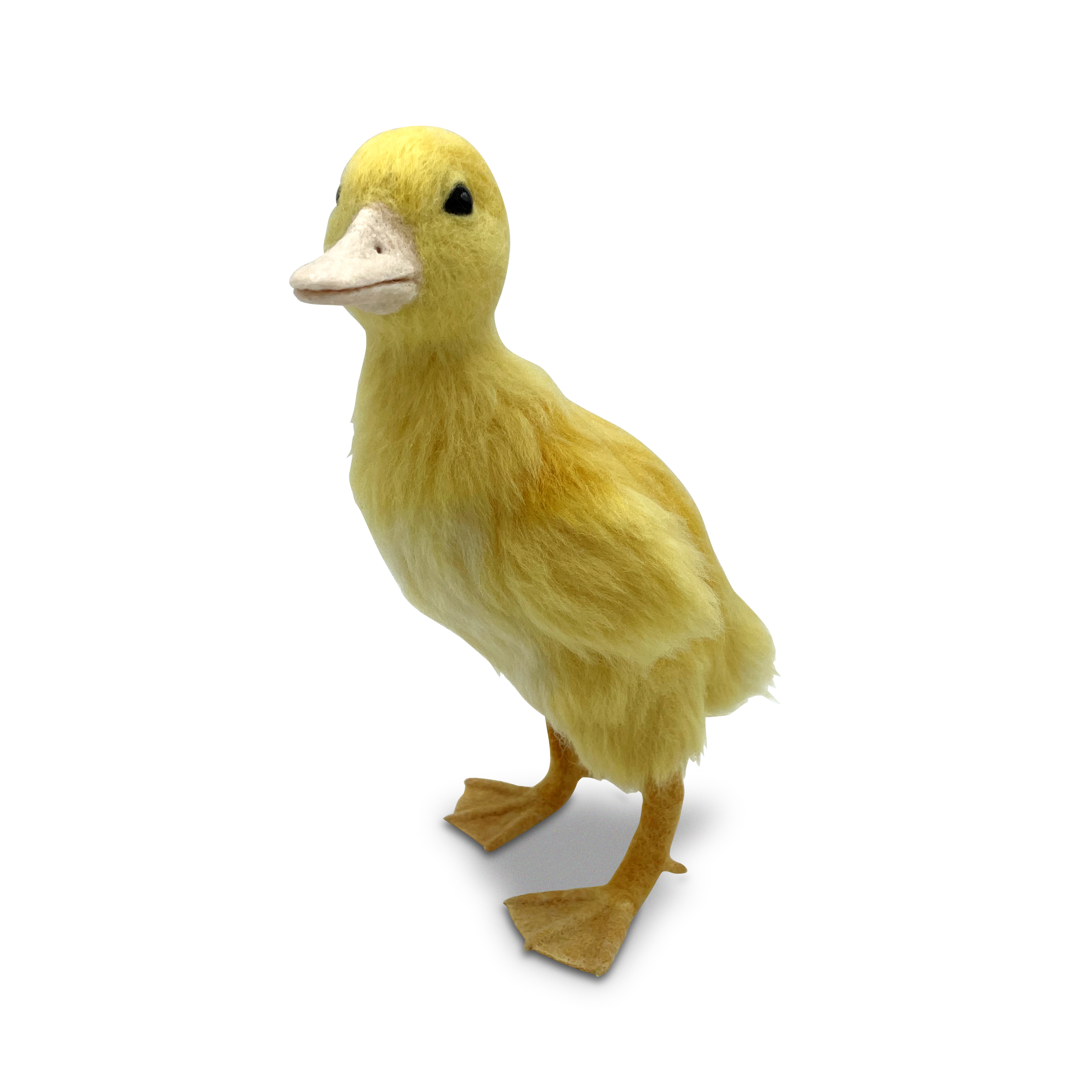 804-duckling-17392693915371.jpg