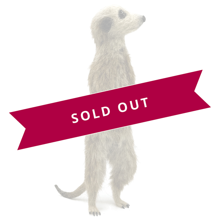 809-meerkat-soldout-17680810339645.jpg