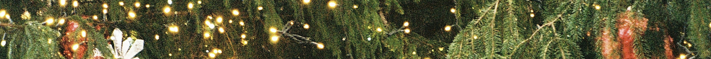 08923221941228-screenshot-2024-09-30-at-145920-17277927455191.png