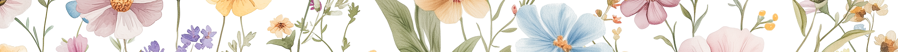 17128029621731489-wildpastels15-17443954723701.png