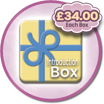 1047-intro-box-desk-png-1742404566143.png