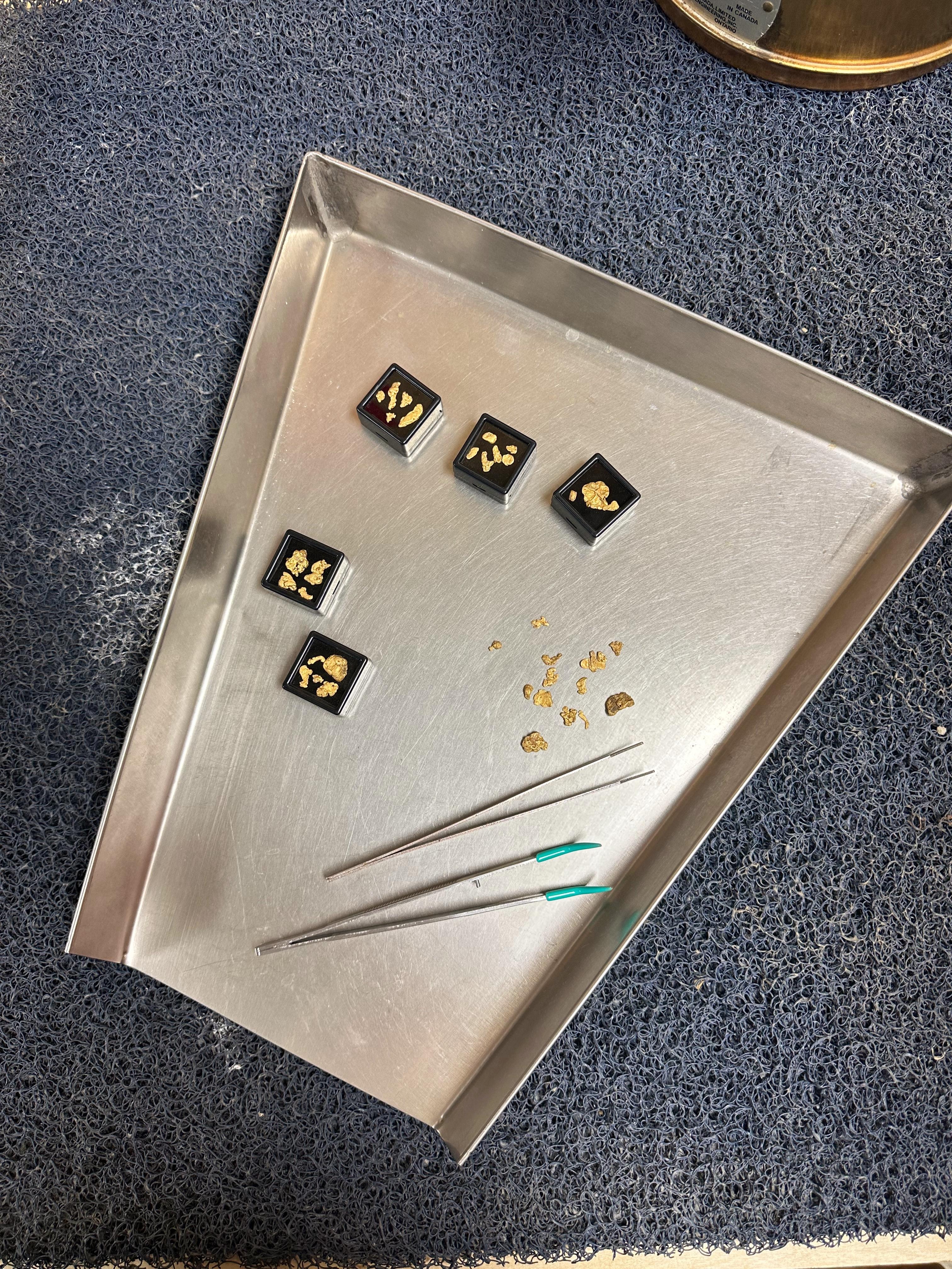 296-gold-in-tray-1749925623529.jpg