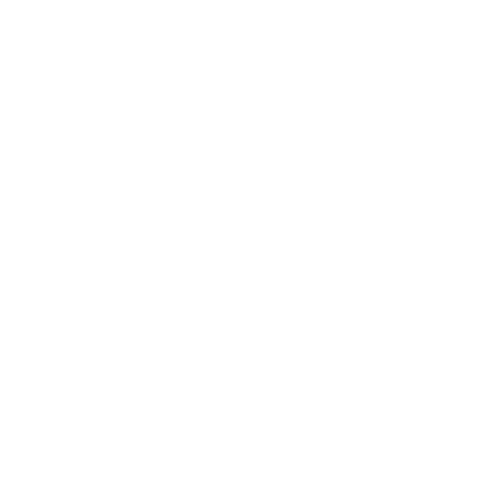 99-2-copy-17484422751153.png