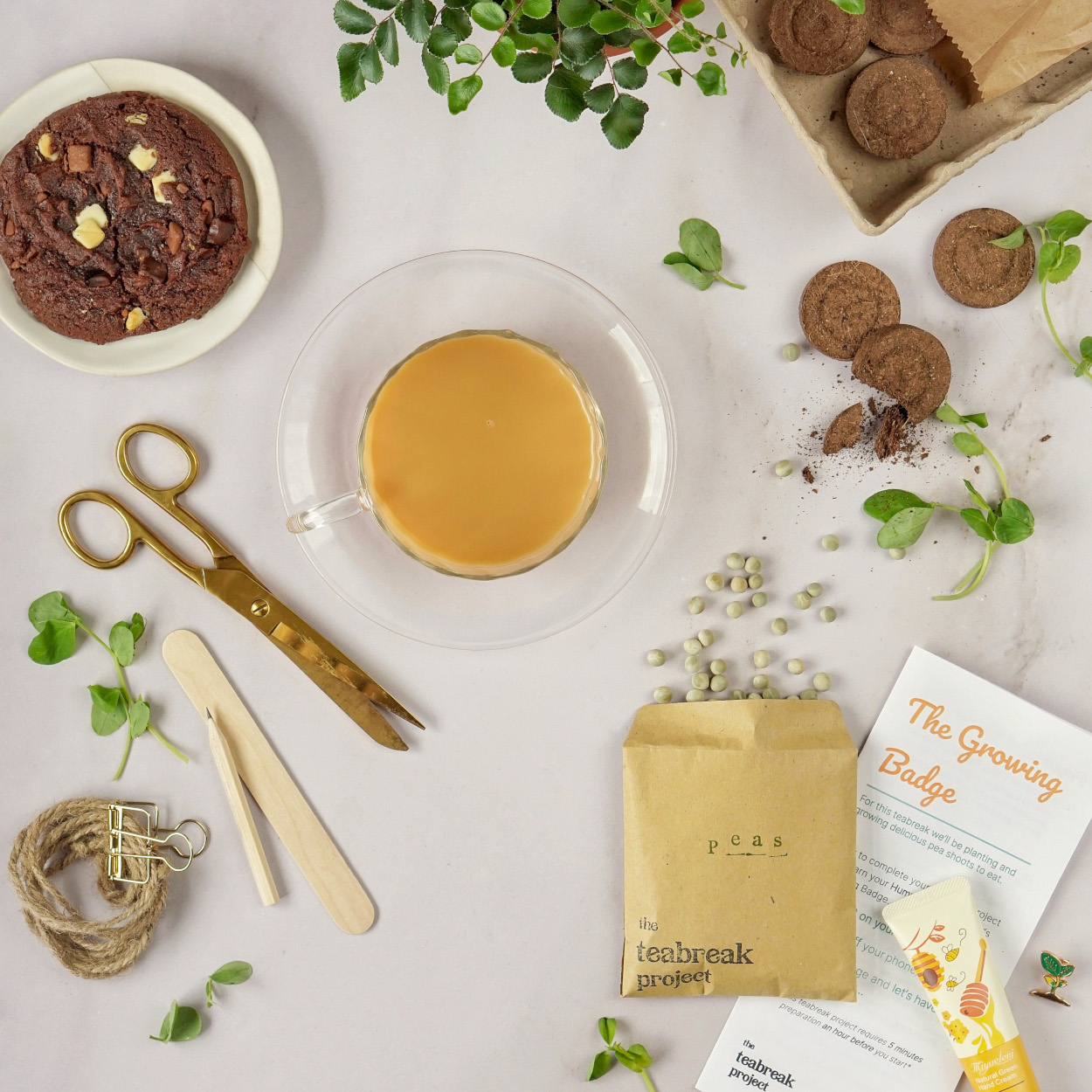 1215-grow-peashoots-teabreak1-17505220774111.jpg