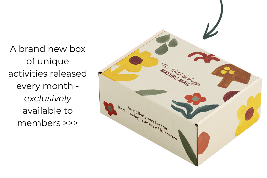 This month's box preview