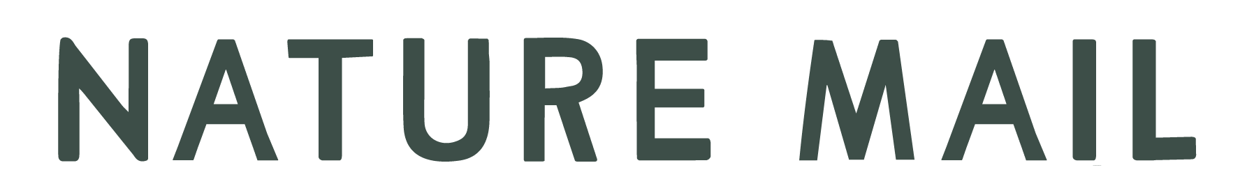 07521795267981-nmlogoteal-17452783440285.png