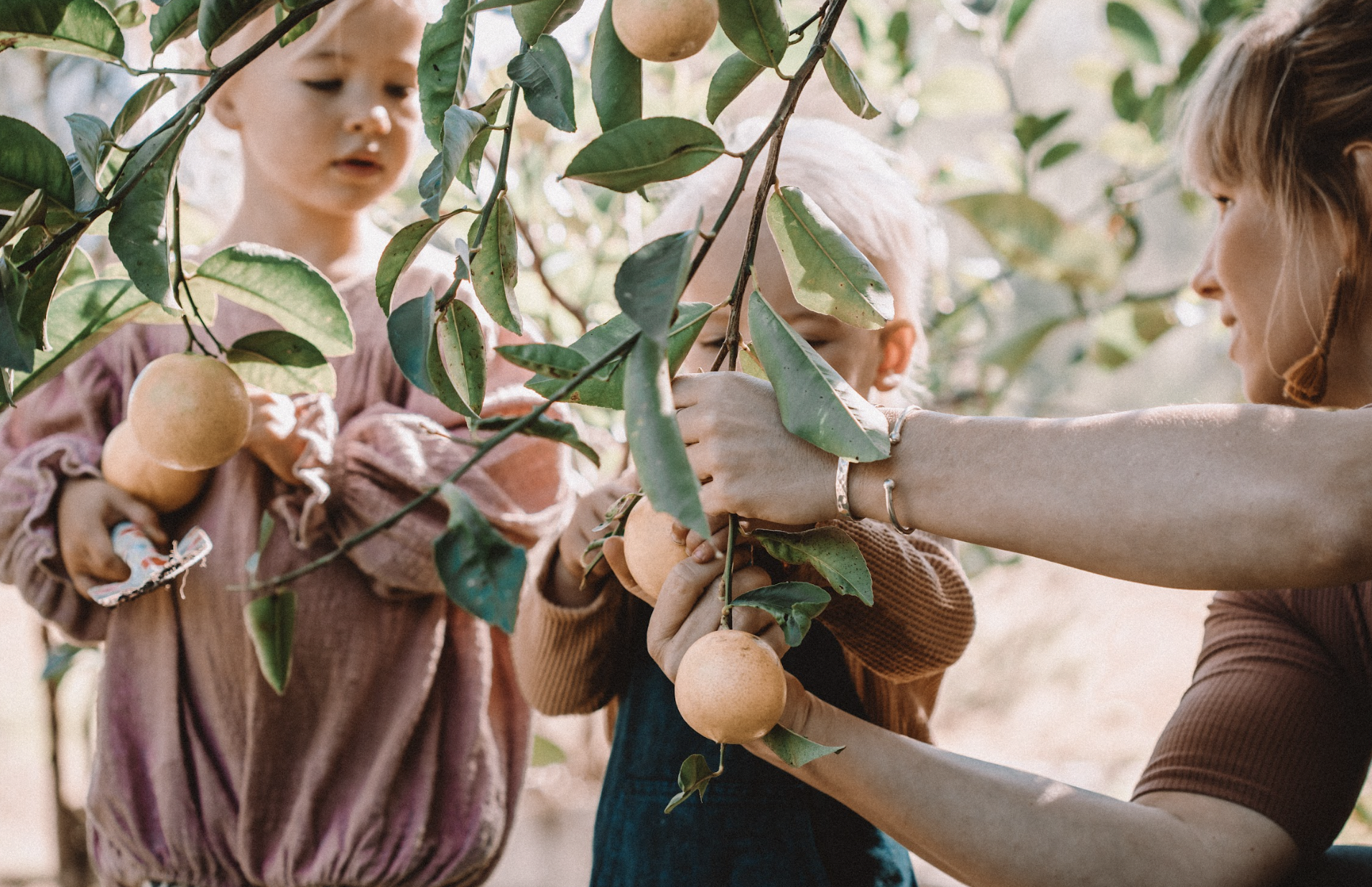 Children engaging with nature through ecotherapy activities