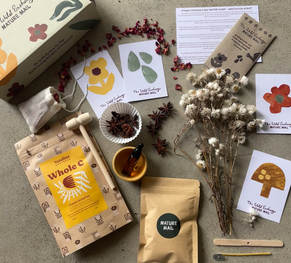 Nature Mail activity 4