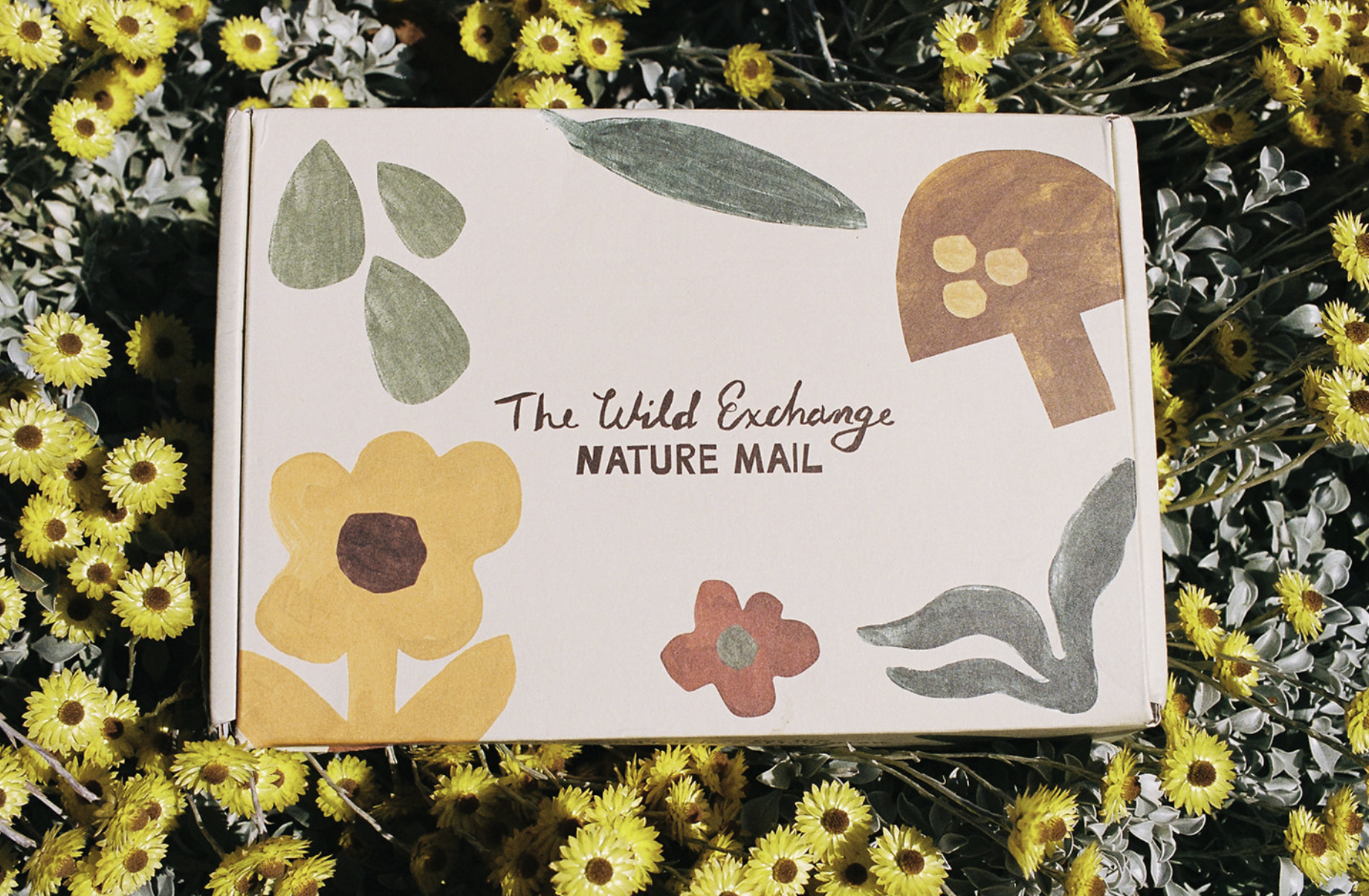 Nature Mail activity 1