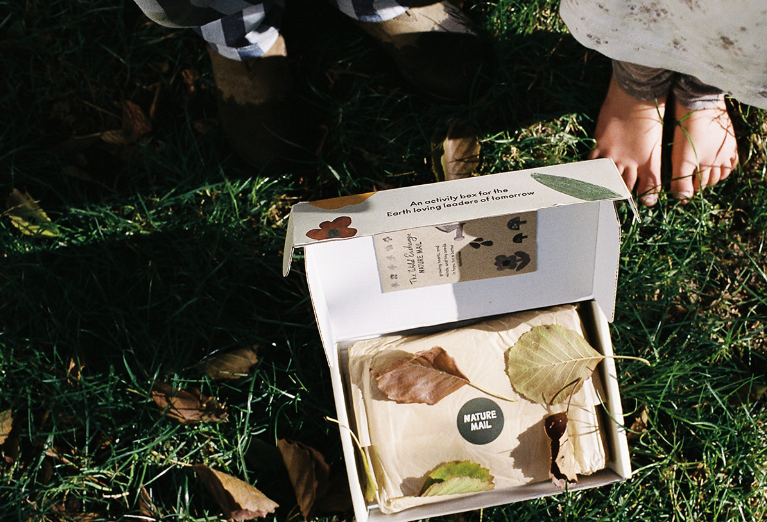 Nature Mail activity 2