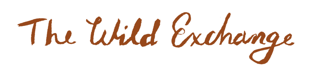 The Wild Exchange