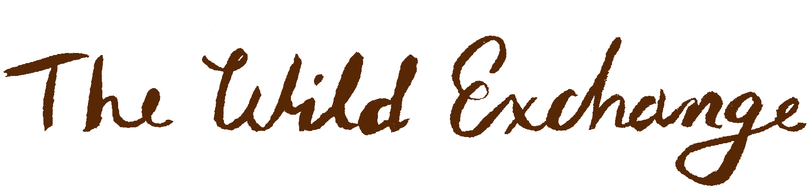 The-wild-exchange-shop