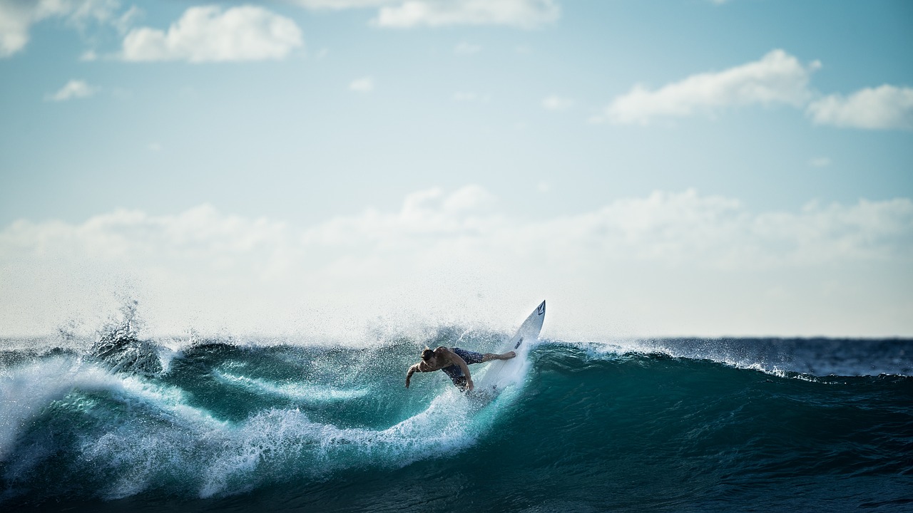 233-surfing-g3747c32411280-16863040624147.jpg
