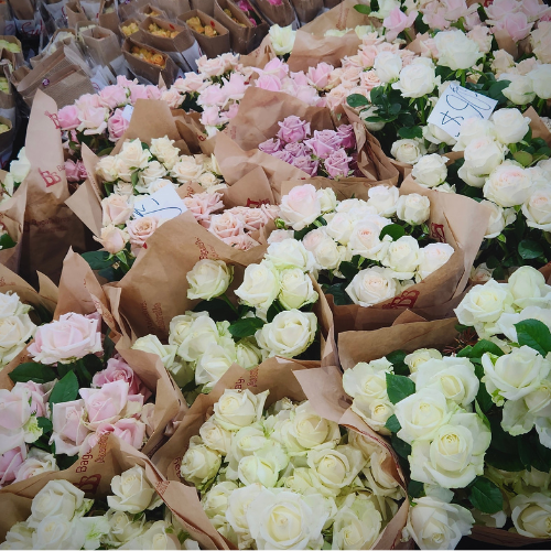 Gorgeous Garden Roses at a Local Growers' Market 221-1-17257667255167.png
