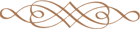 808-decoration-2-17525118778038.png