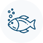 153-icon-fish-17129302986109.png