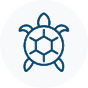 157-icon-turtle-17129303008698.png