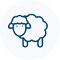 161-icon-sheep-17129303038397.png