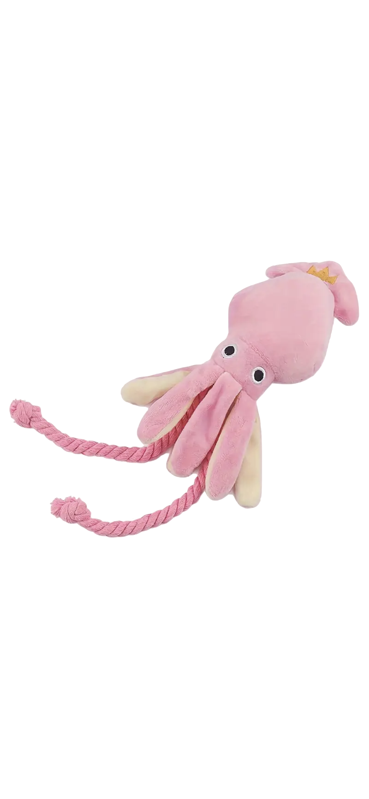 178-img6858png-17422309967919.png