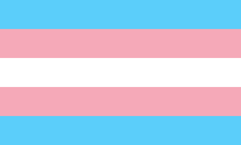 62-800px-transgenderprideflagsvg.png