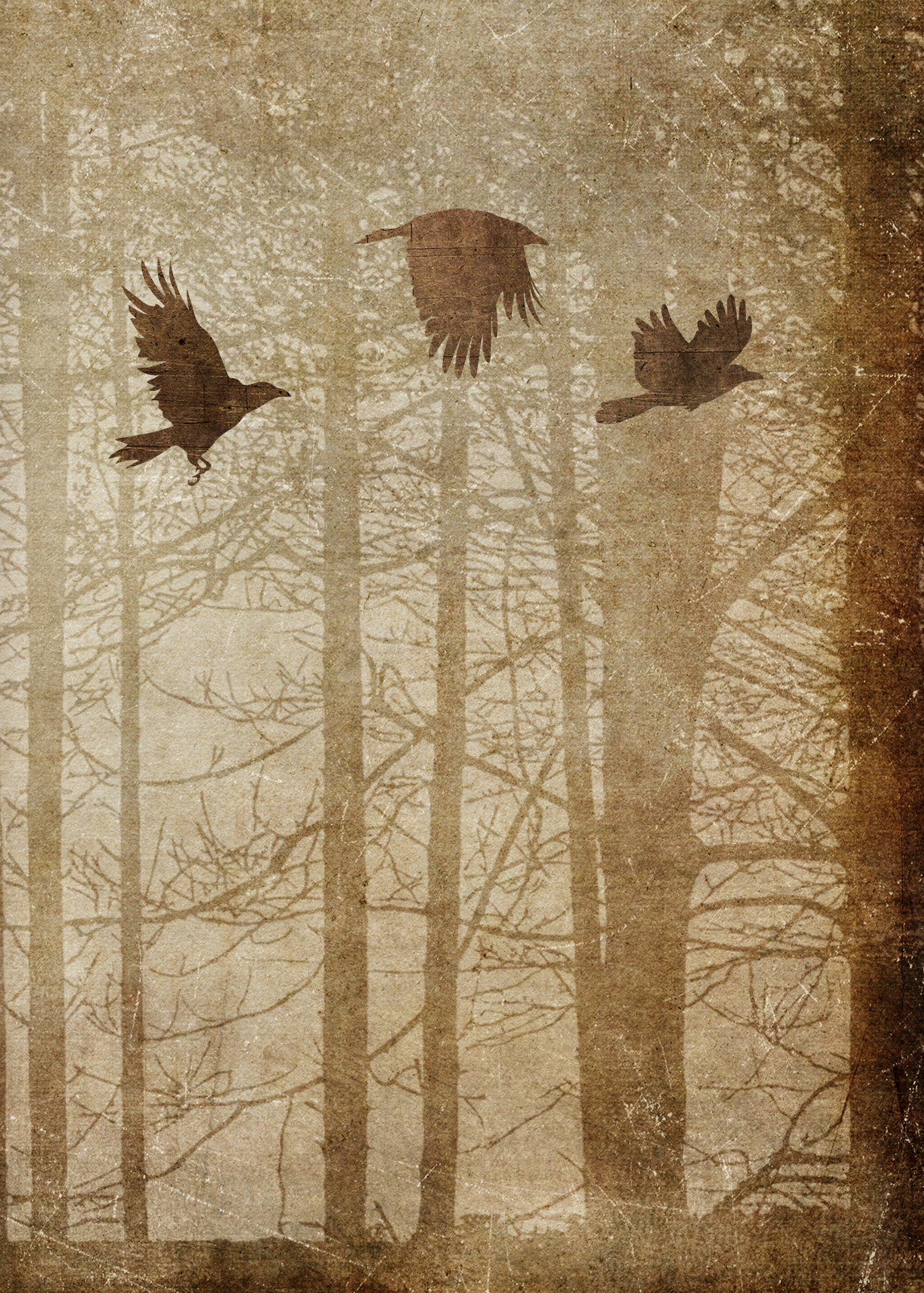 936-the-rookery-5x7--8-16872228352131.jpg