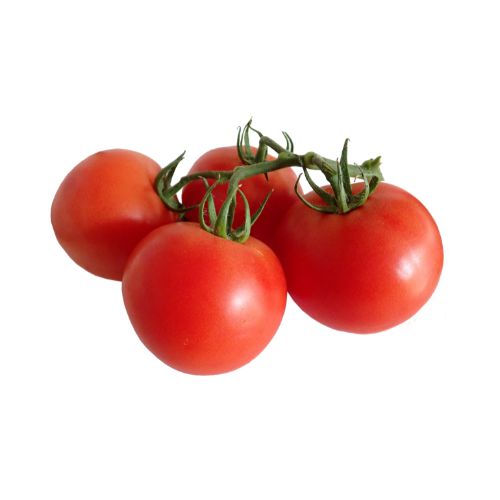 Organic Tomatoes 226-8-17295811068765.jpg