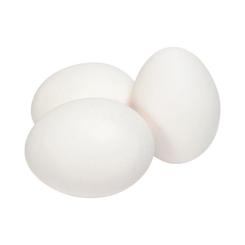 White Eggs 233-12-17295832016893.jpg