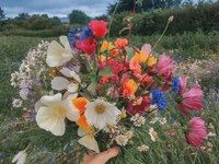 My-Vegan-Artisan-Sharp-Socials-uk-wildflowers