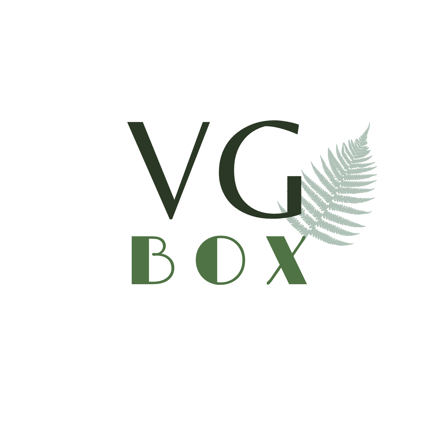 VG Box